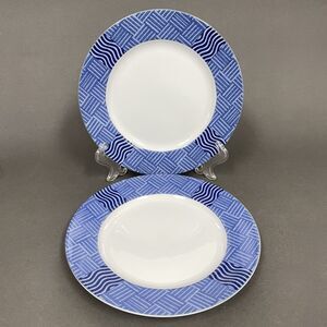 Crate & Barrel Rafia Blue White Waves Wavy Salad Plates Lead Cadmium Lot of 2